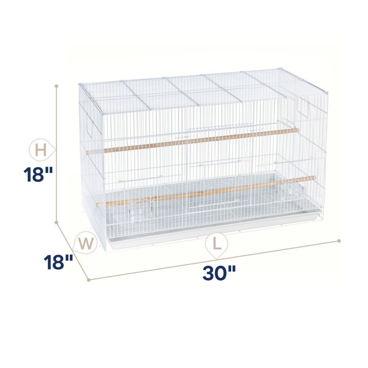 18 inch bird perch sale